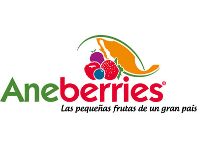 Ane Berries logo
